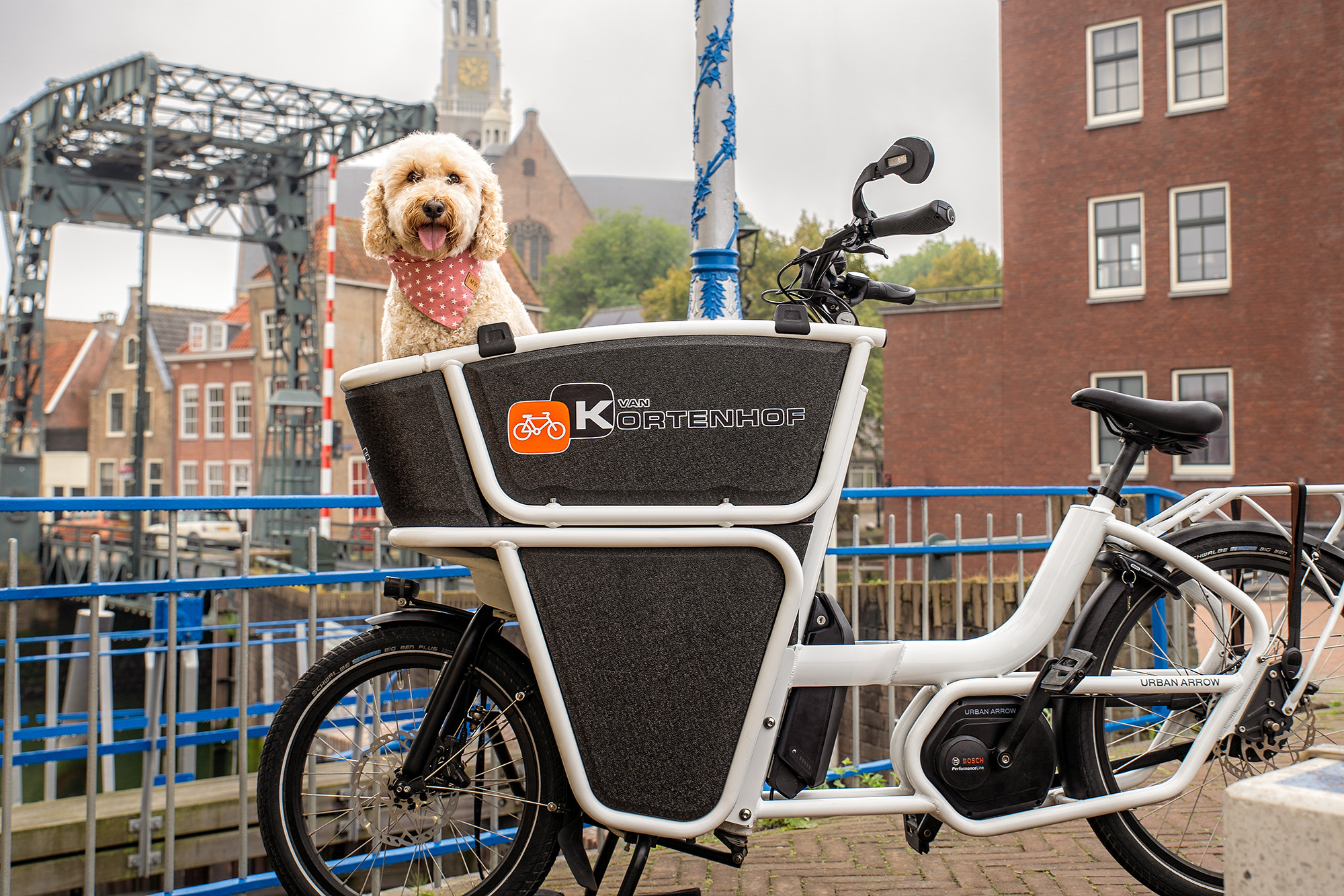 In de bakfiets