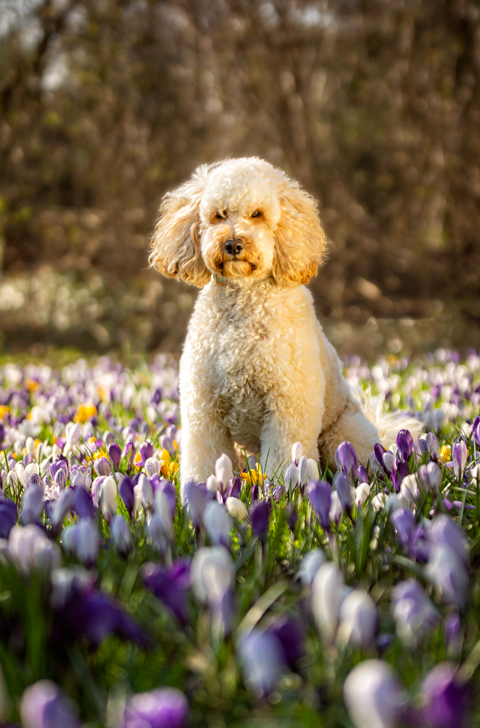 Fietsen is leuk, maar af en toe lekker rennen en spelen is ook belangrijk!