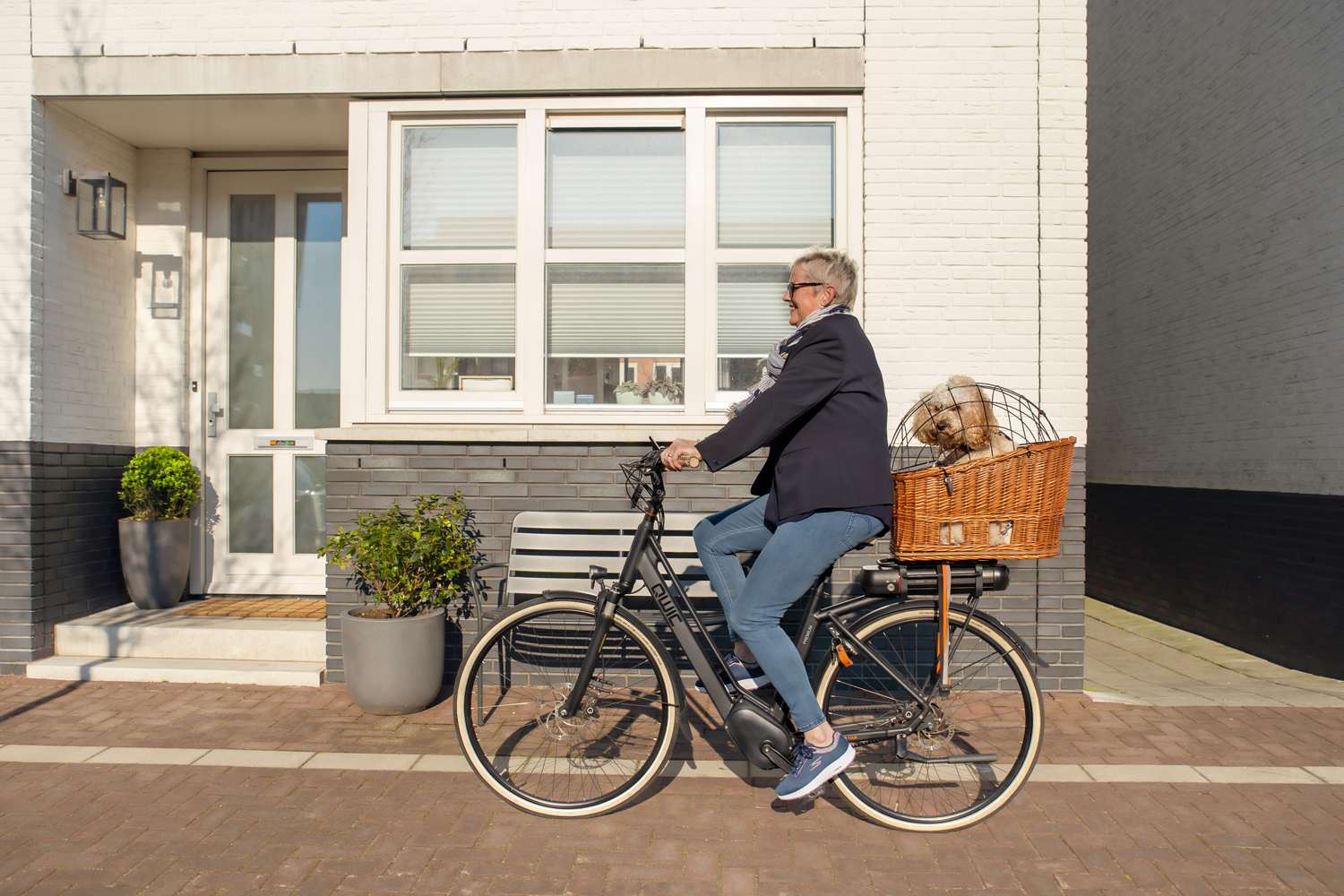 OP ZOEK NAAR EEN HONDENFIETSMAND?