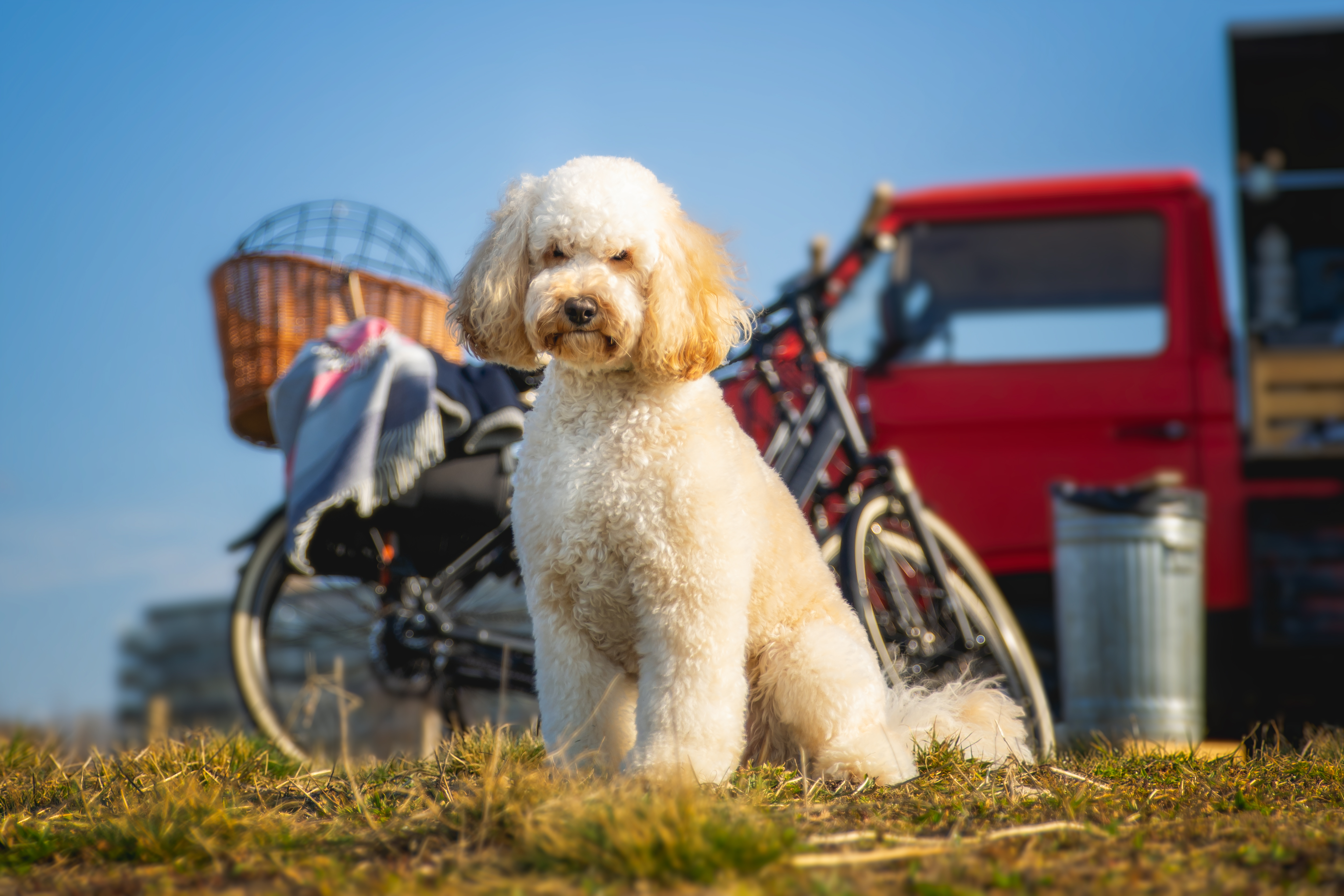 HOE NEEM JE JE HOND HET BESTE MEE OP DE FIETS?